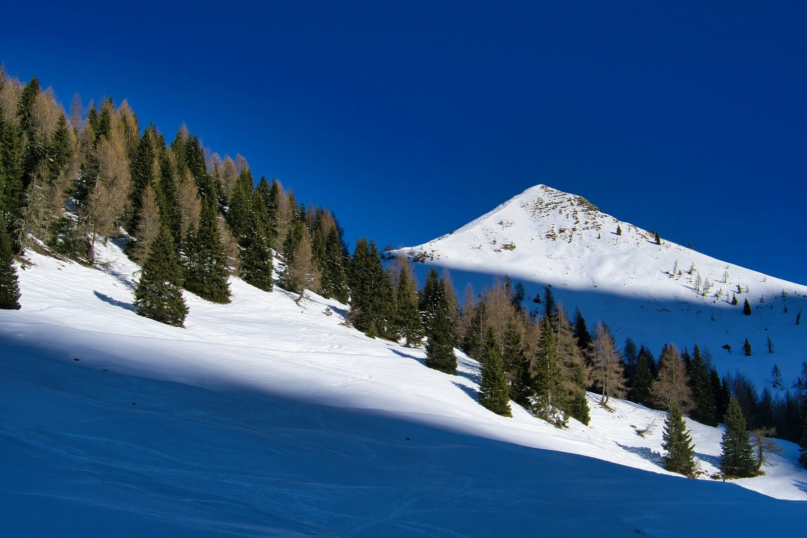 journey through snow mountains
