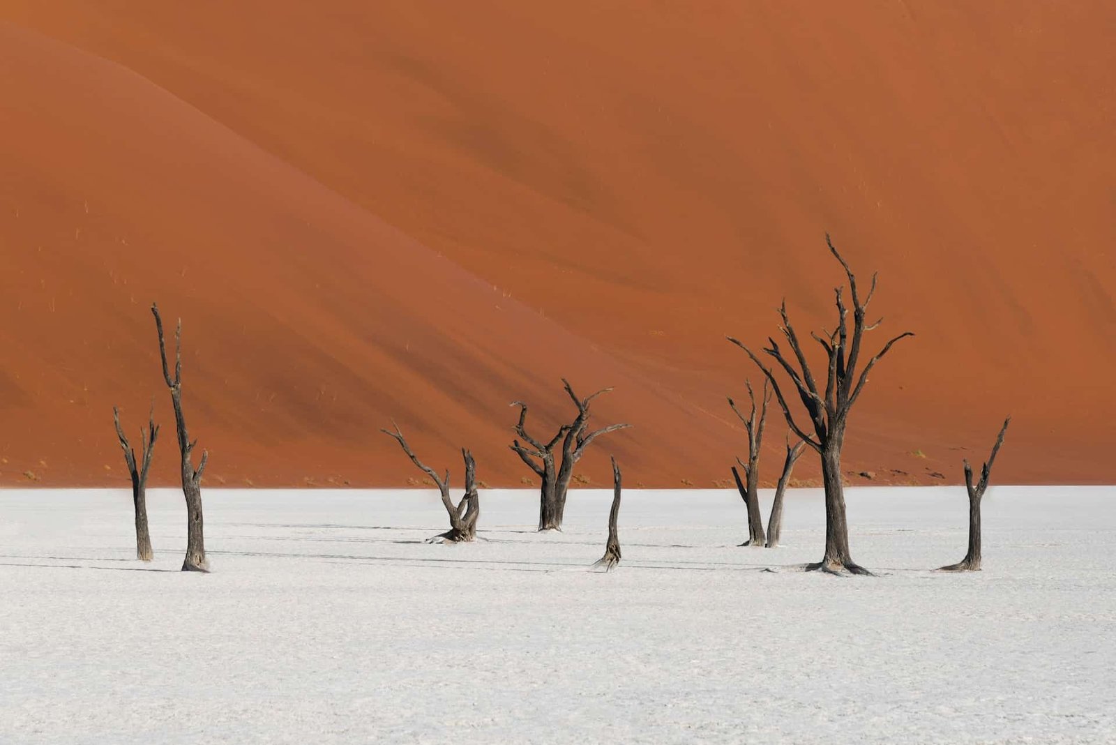 Strange holiday destinations
