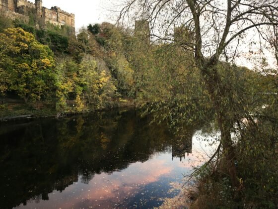 dog friendly durham
