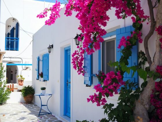 Bourgainvillea on house in Greece