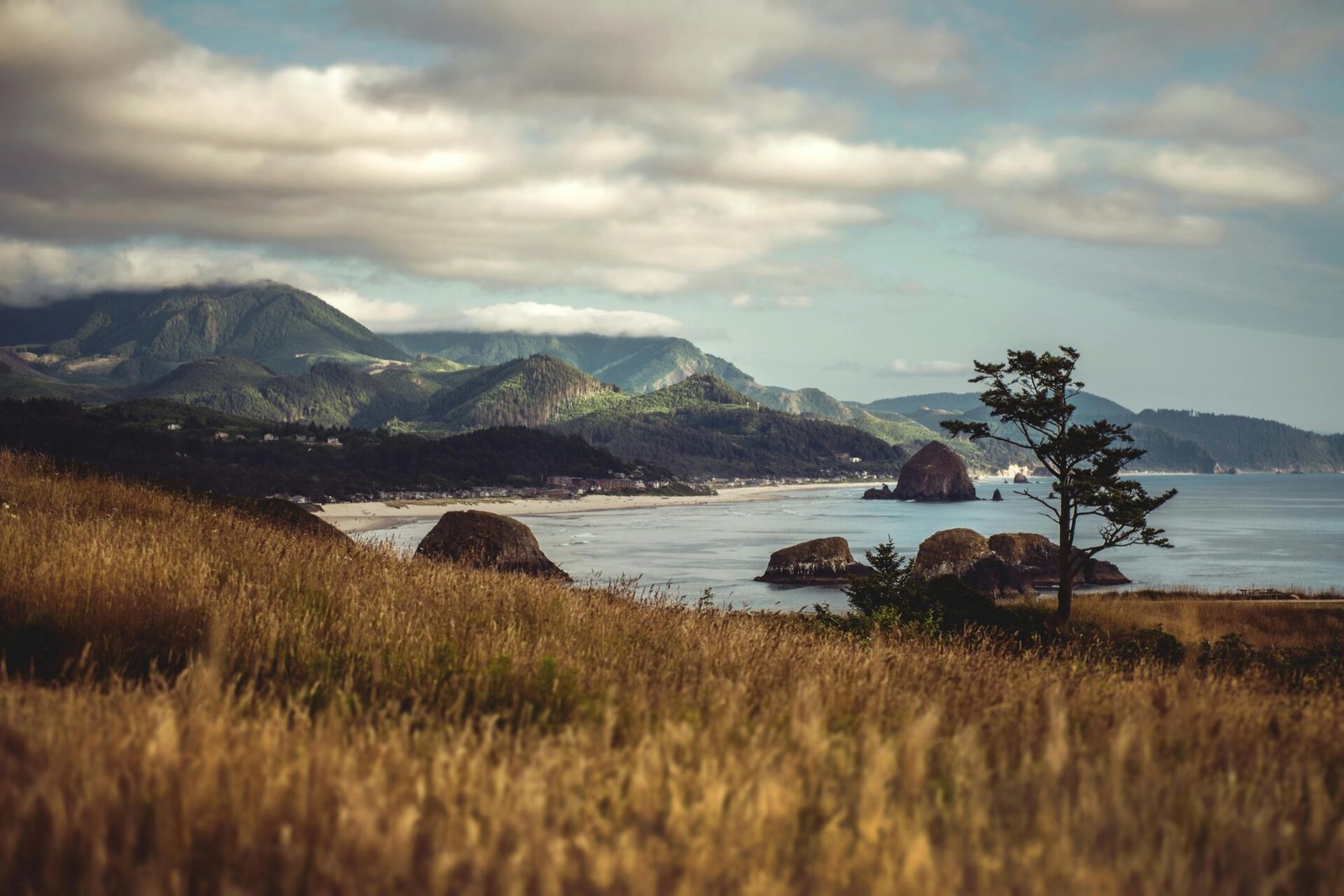 A view of Cannon Beach Oregon