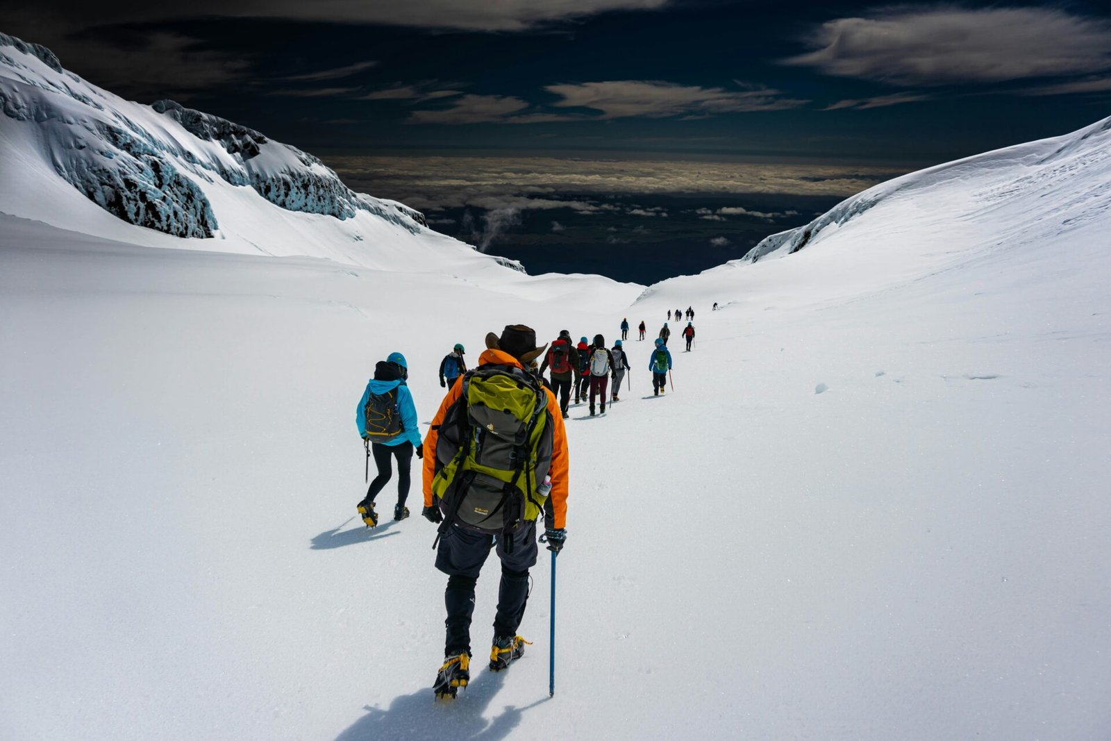 Professional Mountain Guide