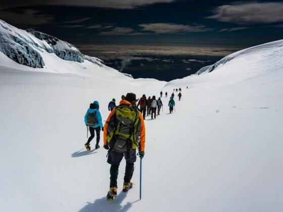 Professional Mountain Guide
