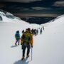 Professional Mountain Guide