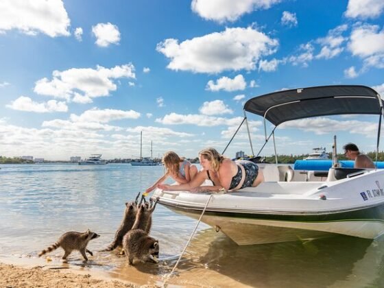 Raccoon Island