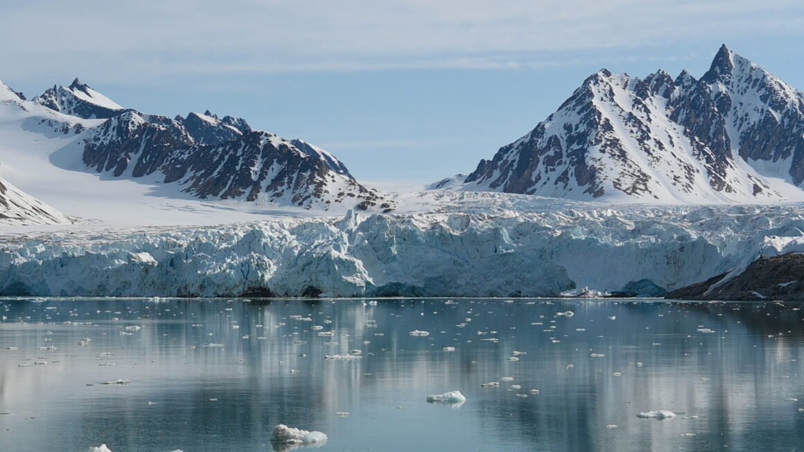 Svalbard wildlife cruise