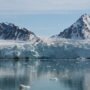 Svalbard wildlife cruise