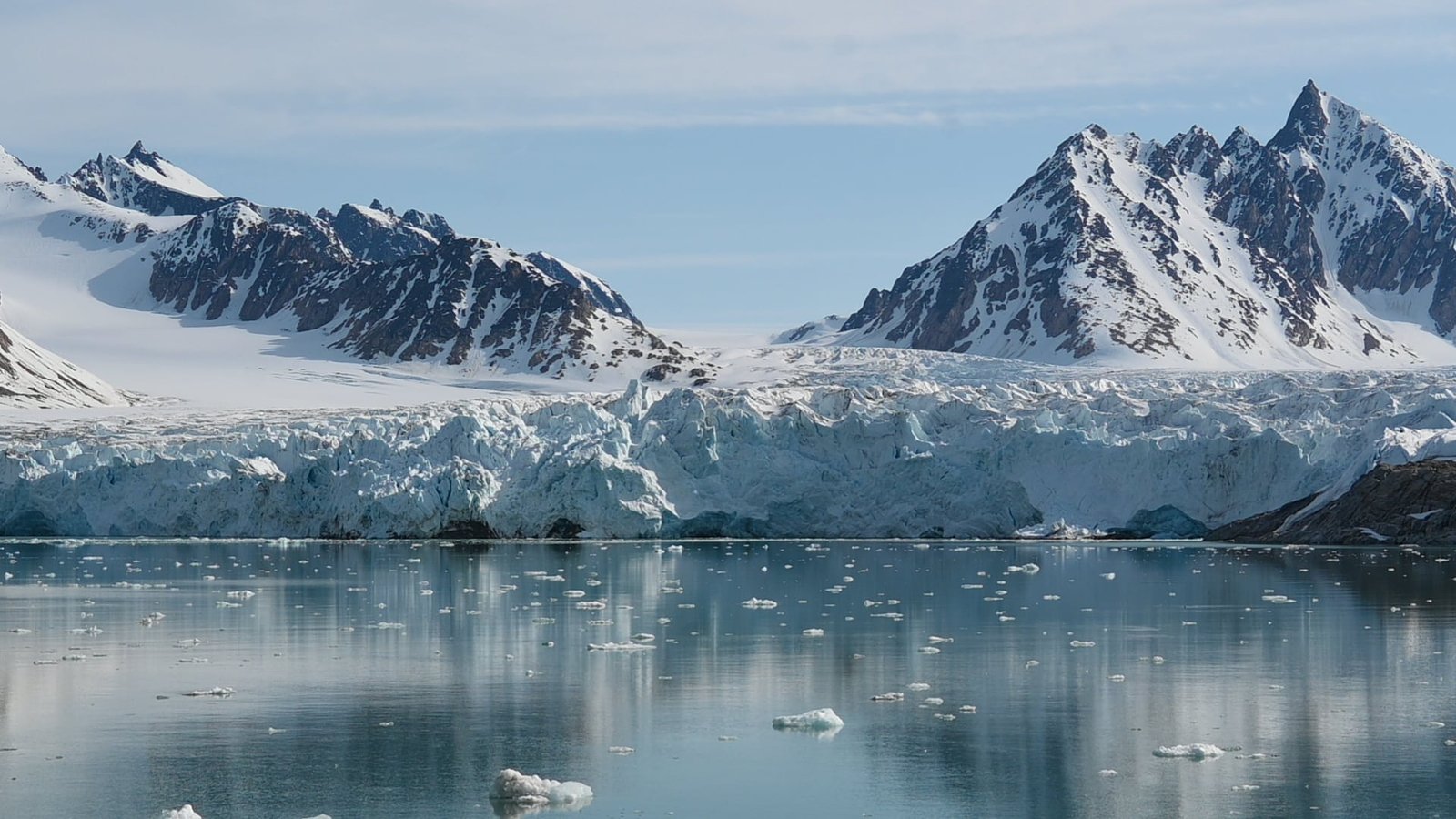 Svalbard wildlife cruise