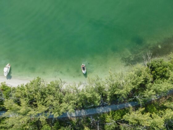 Raccoon Island