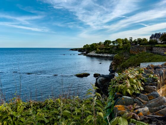 Newport