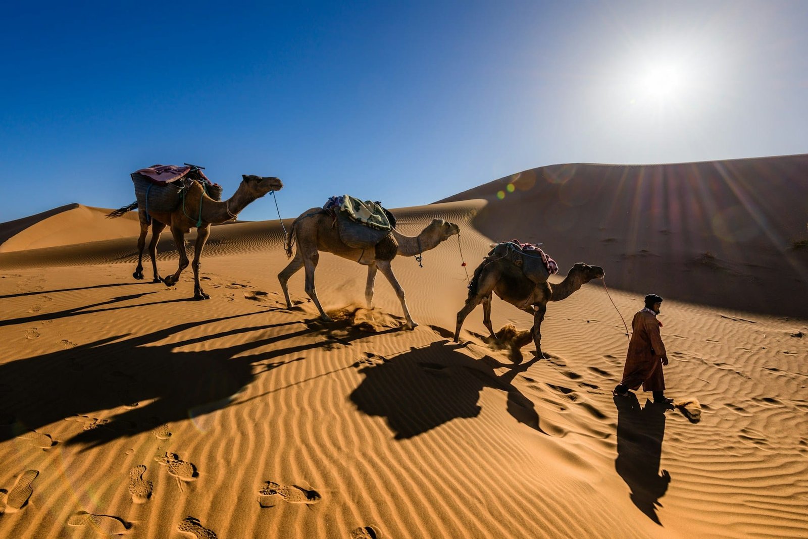 top travel bucket list ideas