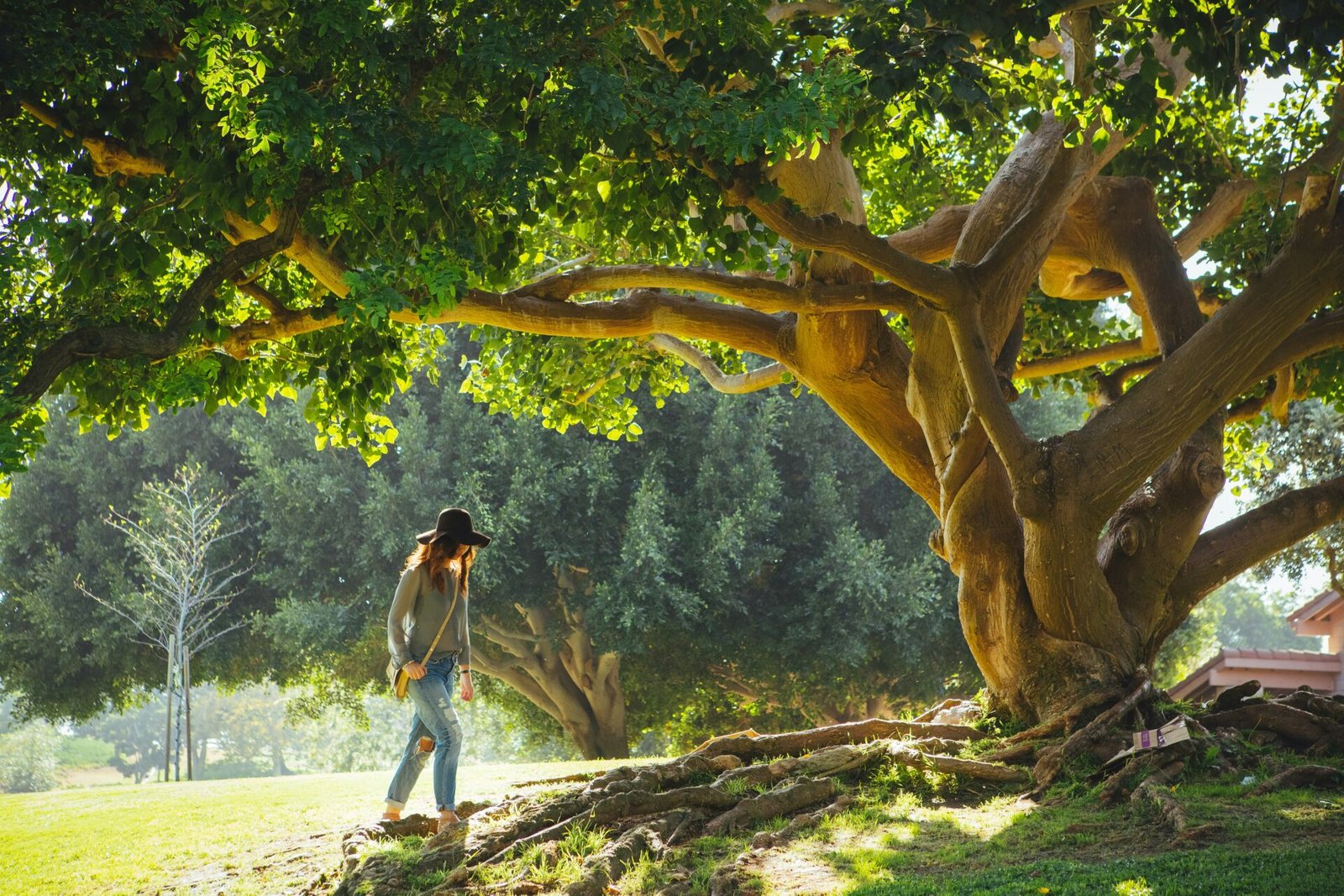 Nature for relaxation