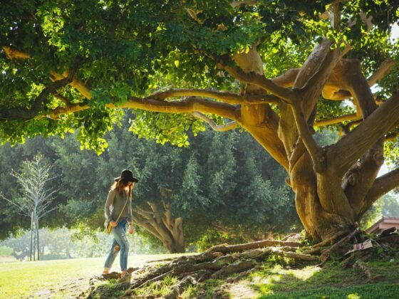 Nature for relaxation