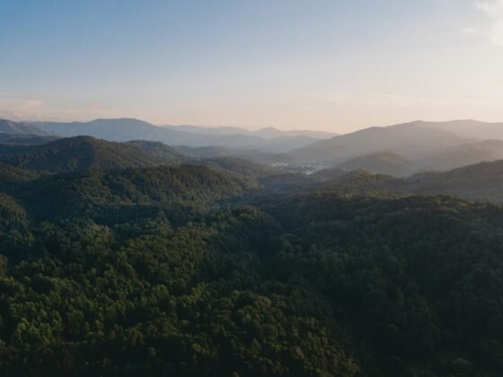 Smokie Mountain View