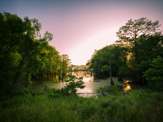 Mississippi