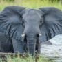 Botswana