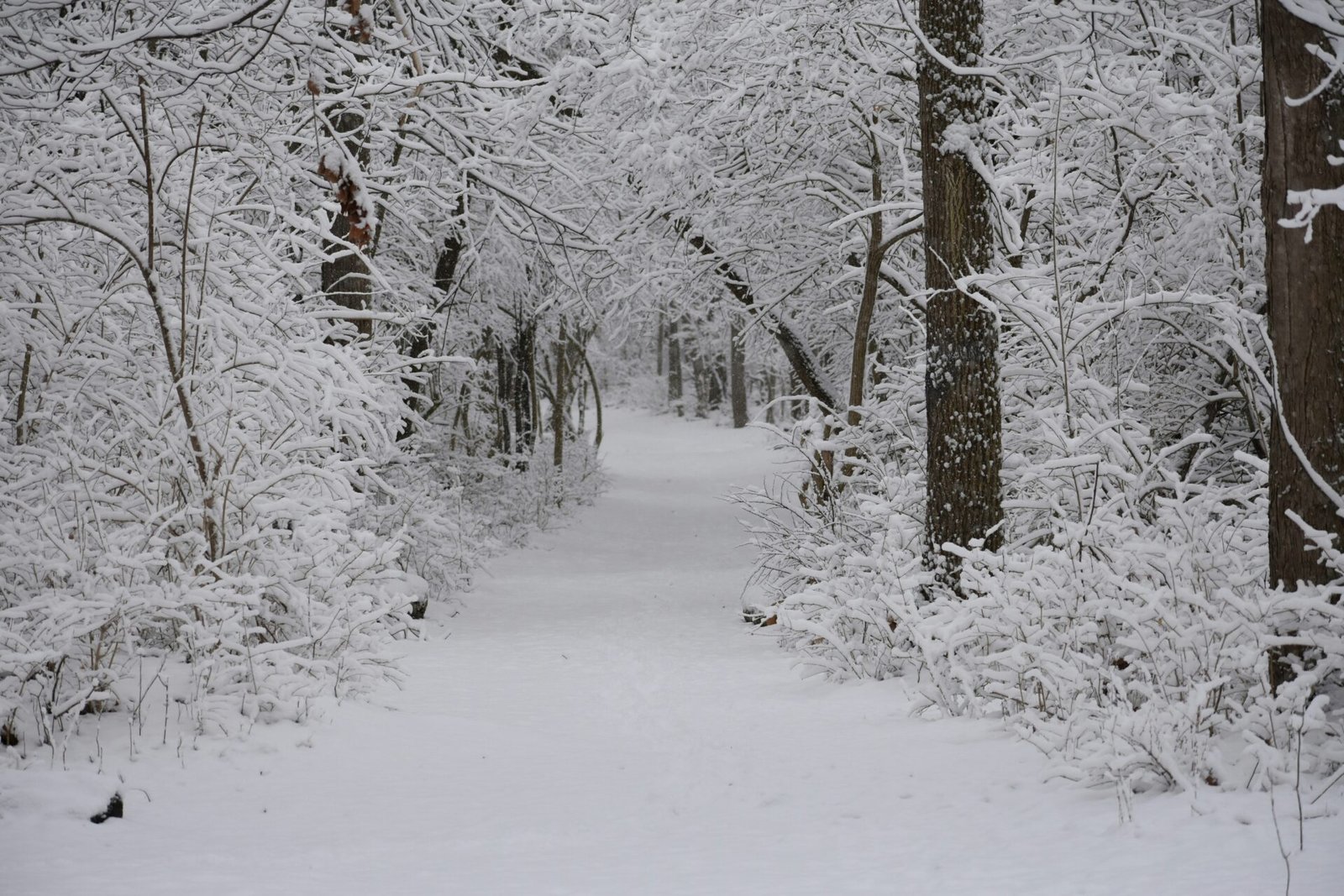 Romantic Snowy Trails for a Winter Escape
