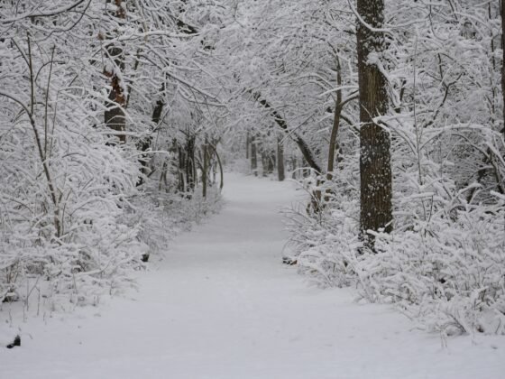 Romantic Snowy Trails for a Winter Escape