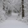Romantic Snowy Trails for a Winter Escape