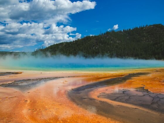 visit Yellowstone National Park