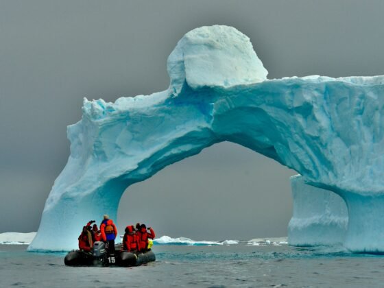 antarctica travel writing