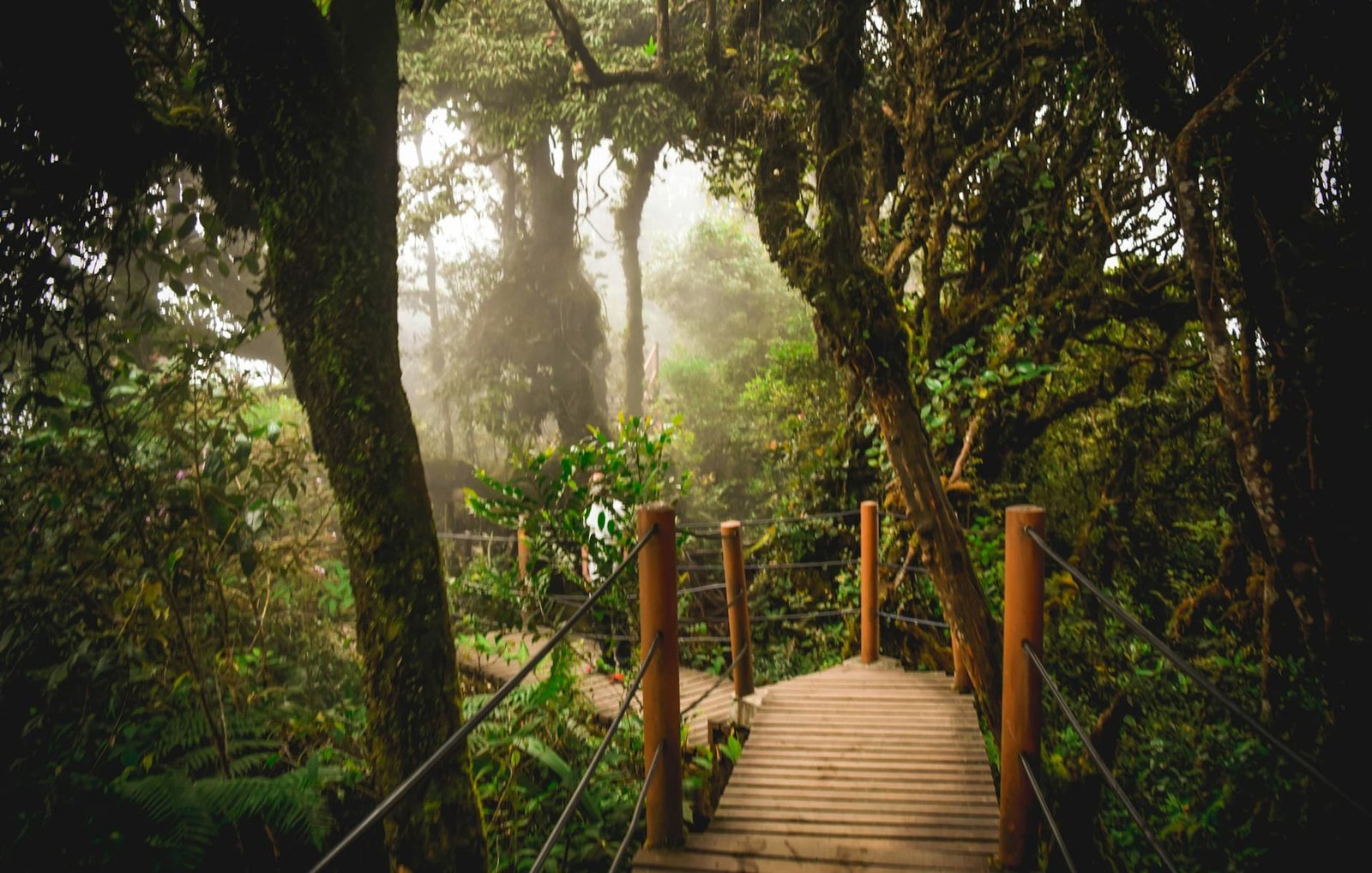 cameron highlands hike