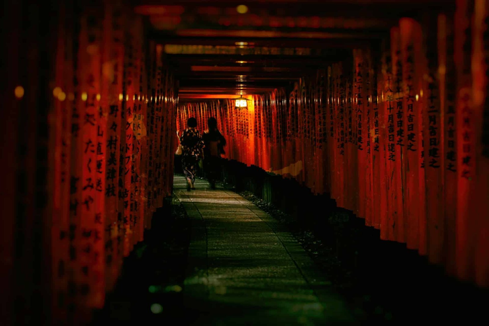 Kyoto bridge