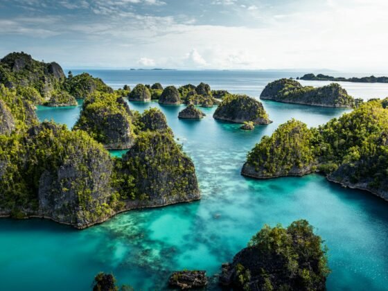 dive trip in Raja Ampat