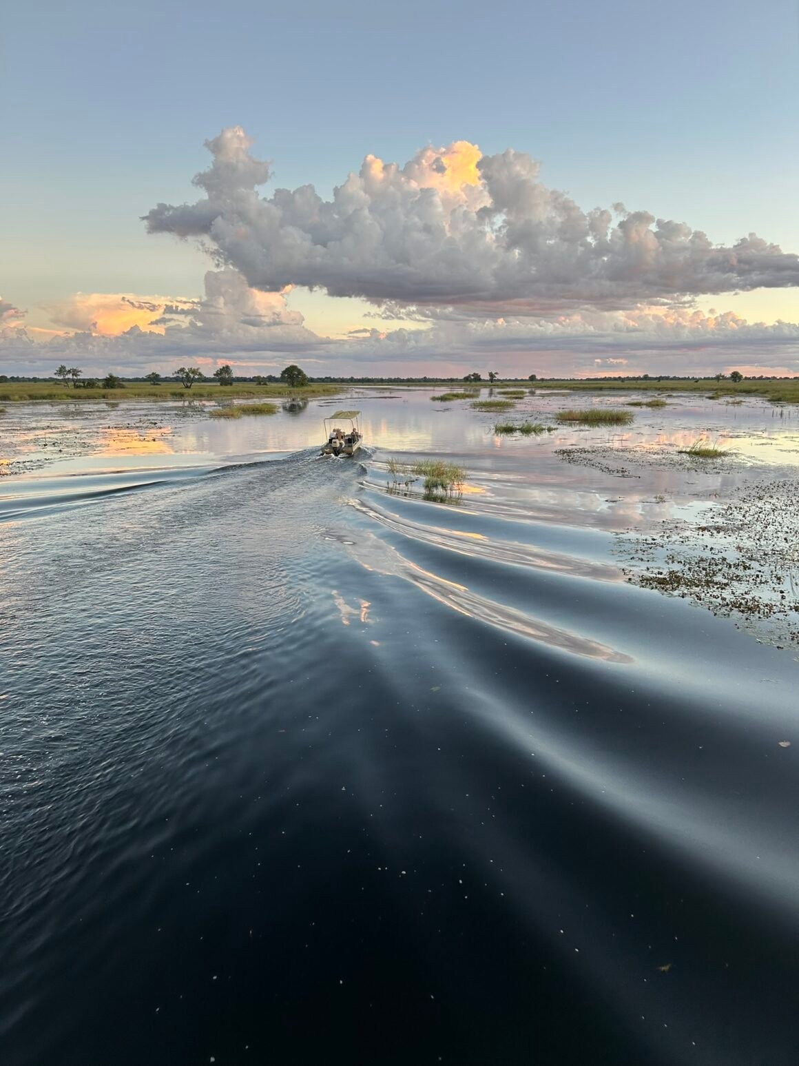 Boating in Moremi Game Reserve