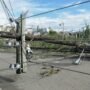 typhoon storm image