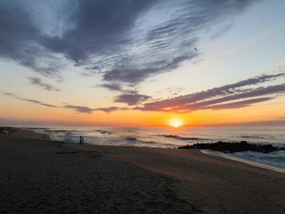new jersey beach