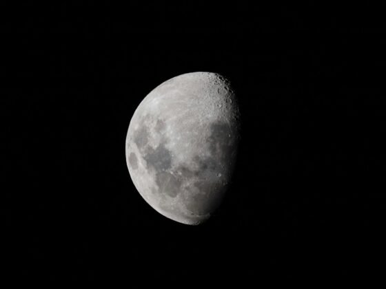International Moon Day