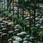 world population day