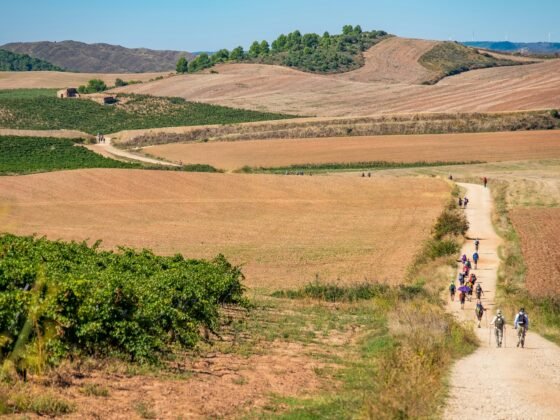 Walking the Camino
