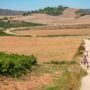 Walking the Camino