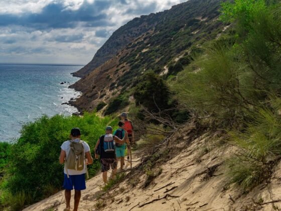 walking the camino